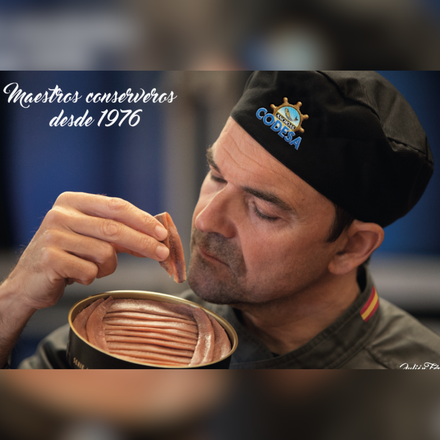 CODESA Organic Anchovy Fillet in Olive Oil (55g)